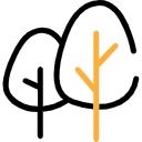 綠化養(yǎng)護